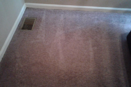 Residential Carpet Cleaning in Louisville, KY Thumbnail