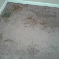 residential-carpet-cleaning-in-louisville-ky 0