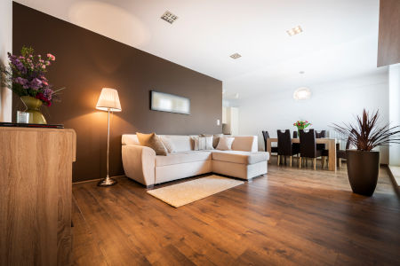 Hardwood Floor Cleaning