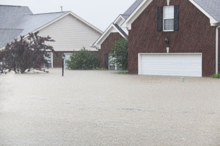 Water & Flood Damage Cleaning